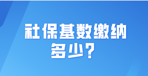 上海居住证积分社保基数申请，1倍2倍3倍分别需要缴纳多少钱？